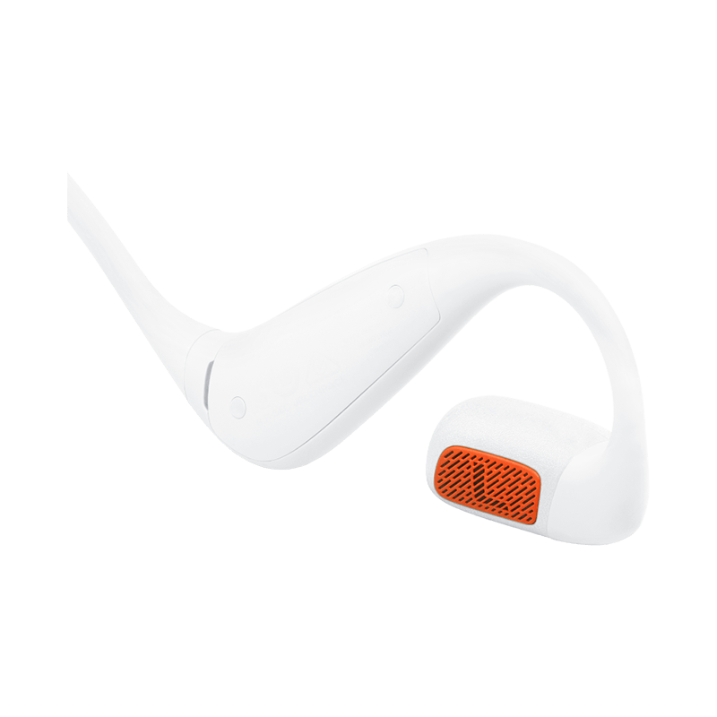 JBL Endurance Pace