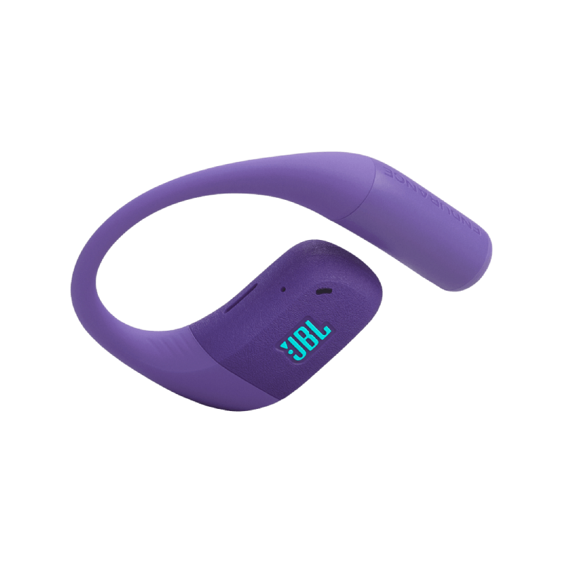 JBL Endurance Zone