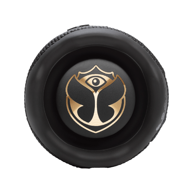 JBL Flip 7 Tomorrowland